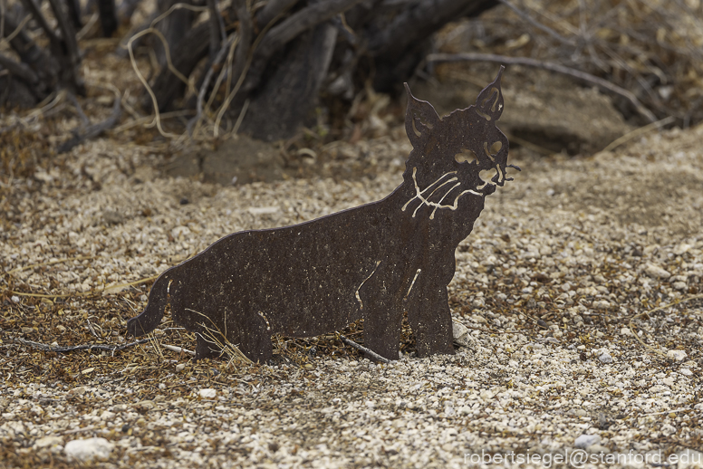 Joshua Tree National Park